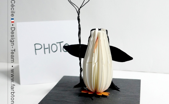 DT Farbton Papier : Petit pingouin